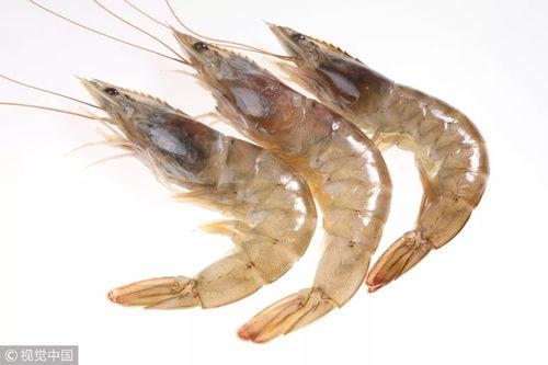 国产大虾剪发视频,一场视觉与技艺的盛宴