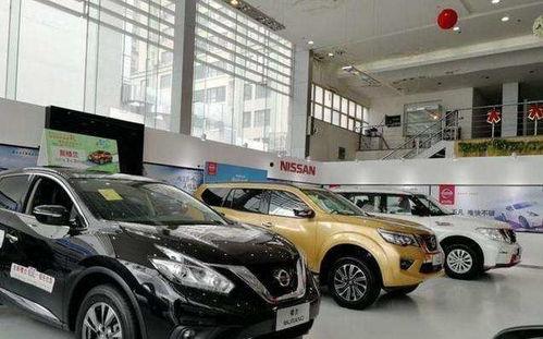 国产车起名吐槽视频合集