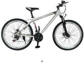 国产山地自行车测试视频,速度与激情的较量