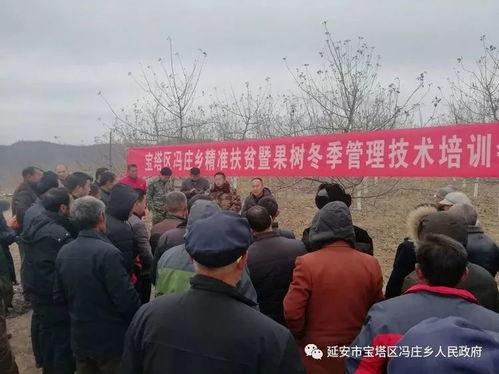 国产精品乡焦视频,精品再现——国产焦视频温情回顾