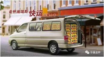 国产大金杯改装案例视频,华丽变身，演绎经典重生