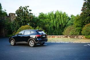 10万买国产车视频讲解,视频深度解析