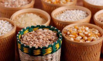 国产主食罐开箱图片视频,一罐尽享地道家常美味