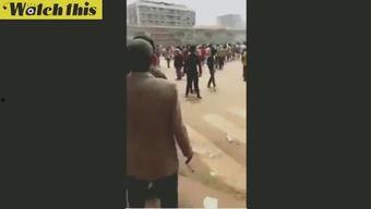 欧美国产猎奇在线视频,揭秘禁忌边缘的惊悚世界