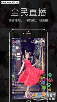 乱夜秀场国产视频下载,揭秘国产视频下载背后的秘密