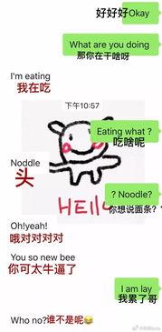 国产散装英语视频,本土视角下的国际文化交流