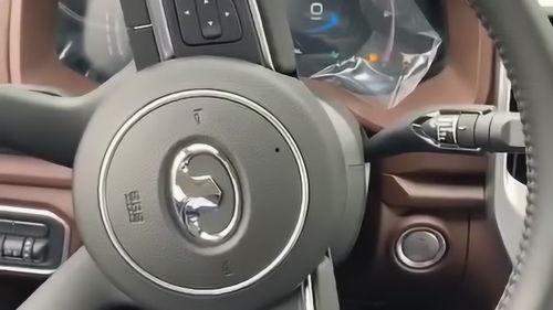 国产车有泊车功能吗视频,智能泊车，轻松驾驭