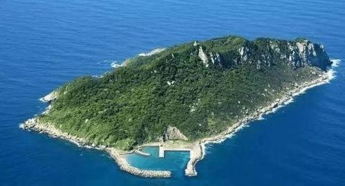 国产4K国岛专区视频,4K画质下的国产专区视频盛宴  第2张